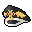 Drop Icon