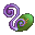 Evolution Image