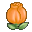 Evolution Image