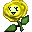 Evolution Image