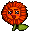 Evolution Image
